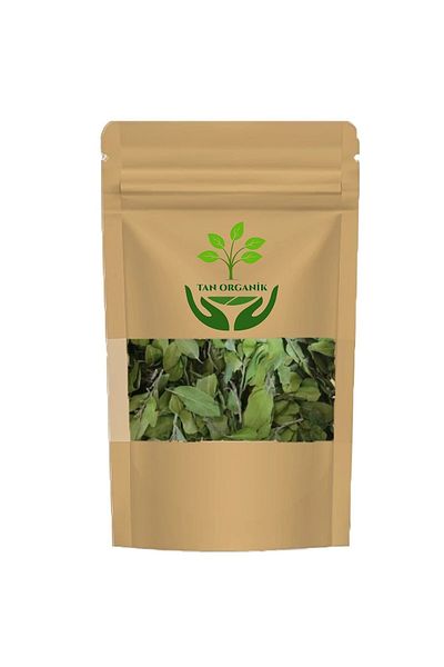 tanorganik Sidr Sidir Arabia Cherry Tree Leaf 25g