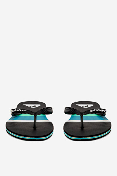 Quiksilver man pool flip-flop 5905588753902 Black