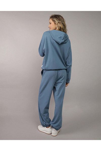 AMERICAN EAGLE Ae Branded Hoodie