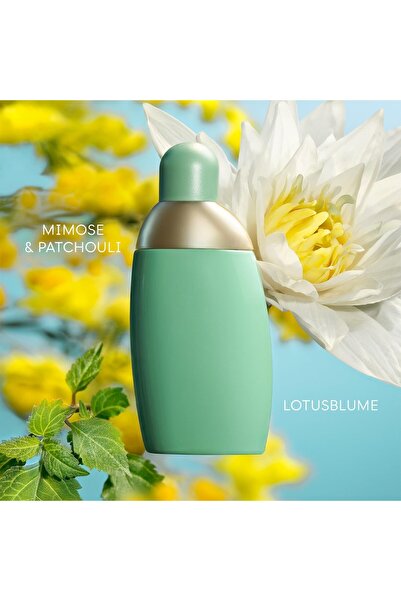 Cacharel Eden Women's Eau de Parfum, 30ml