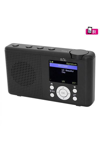 Sal Portable internet radio SAL, BT, LCD screen, battery