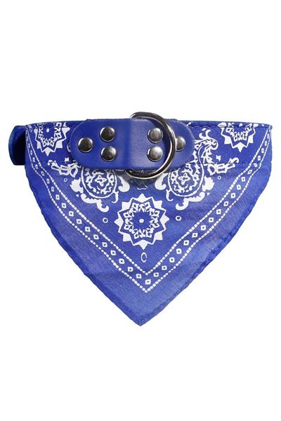 OEM Dog and Cat Collar with Bandana, Scarf, 39 X 1.5 Cm, ​​Bell, Blue