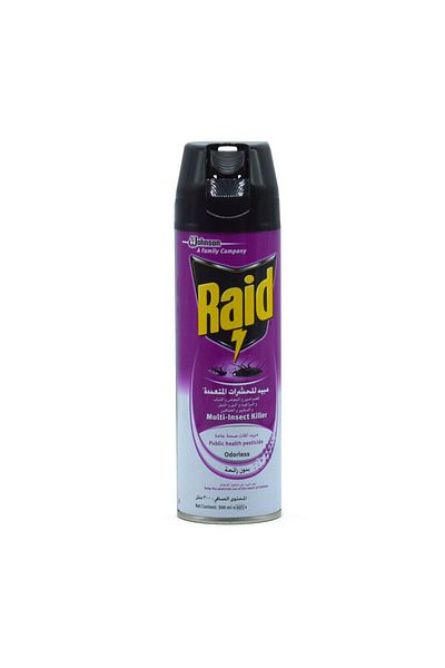 Raid Raid Spray All Insect Killer Odorless 300ml