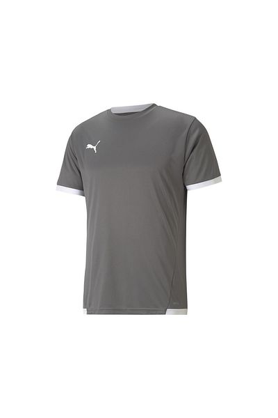 Puma Men's Football Jersey - Teamliga Jersey, Gray70491713