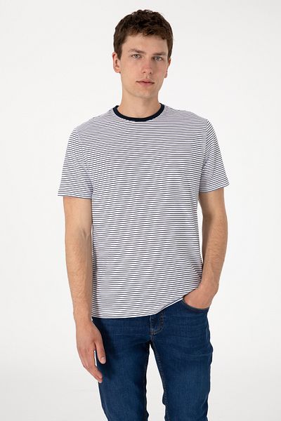 U.S. Polo Assn. Men's Regular Fit Crew Neck Navy Blue Striped T-Shirt 50306898-Vr033