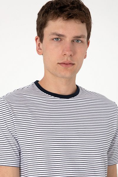 U.S. Polo Assn. Men's Regular Fit Crew Neck Navy Blue Striped T-Shirt 50306898-Vr033