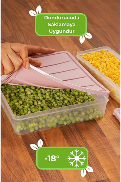 Elista Vacuum Silicone Lid Freezer Microwave Suitable Food Storage Container Set of 12
