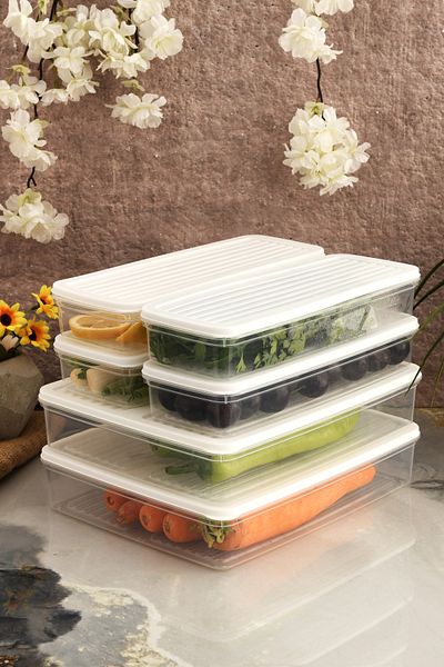 Leila 6 Pcs Storage Container with Lid, Suitable for Refrigerator Organizer Microwave and Freeze 9Lt