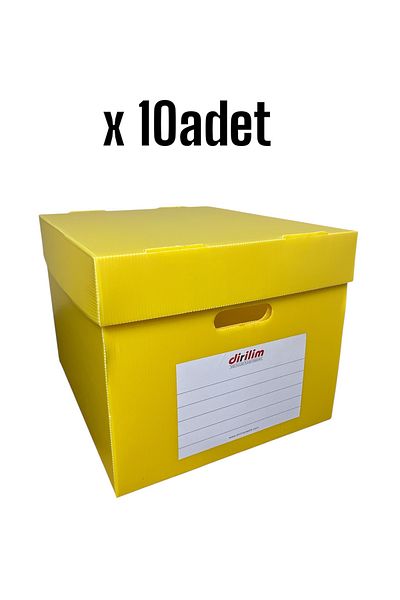 dirilim plastik Reborn Plastic Archive Box 42*35*30cm 5 Pieces Folder Capacity Folder Plastic Corrugated 10 Pieces