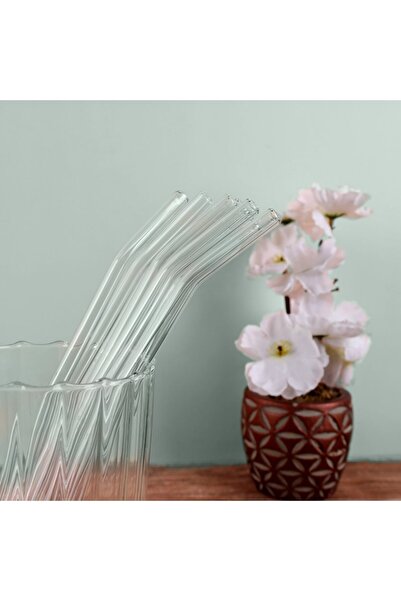 Rayan Banu - 6 Pieces Transparent Glass Straws Heat Resistant Coffee Soft Drink Straws