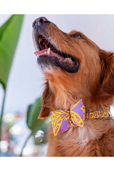 Lorico Köpek Çıtçıtlı Desenli Papyon - Aksesuar