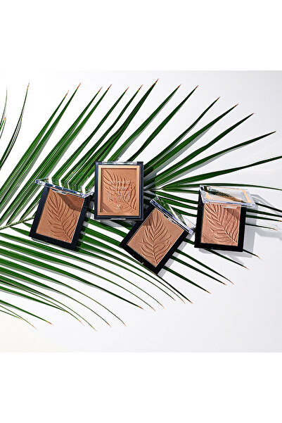 WET N WİLD برونزر كلر أيكون من ويت أند وايلد، لون بالم بيتش ريدي - 11 غرام