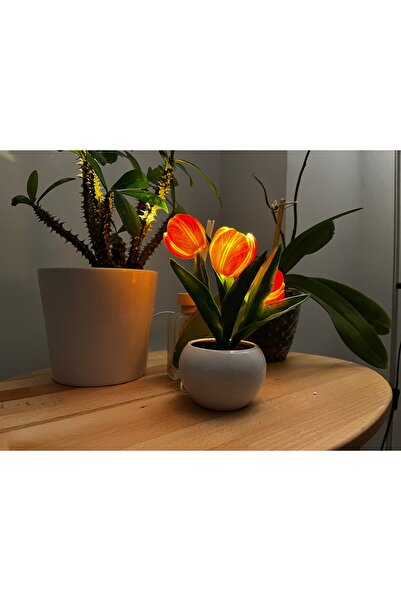 U&H STORE Led Lale Dekoratif Masaüstü Lambası/Gece Lambası. Turuncu Renk.