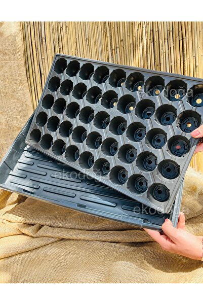 Ekodoğa 1 Adet 45 Göz Fide Viyolü + 1 Adet Derinlik 5 cm Fide Tepsisi Fide Vi...