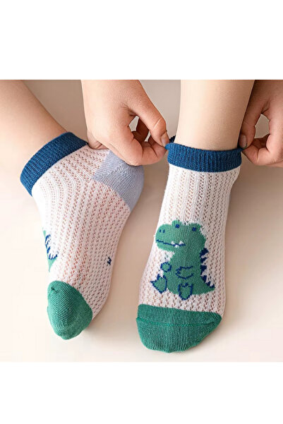 Hobins Sportswear Company 5'Çift Bebek & Çocuk Çorap Dinozor,Çember,Palmiye Desenli