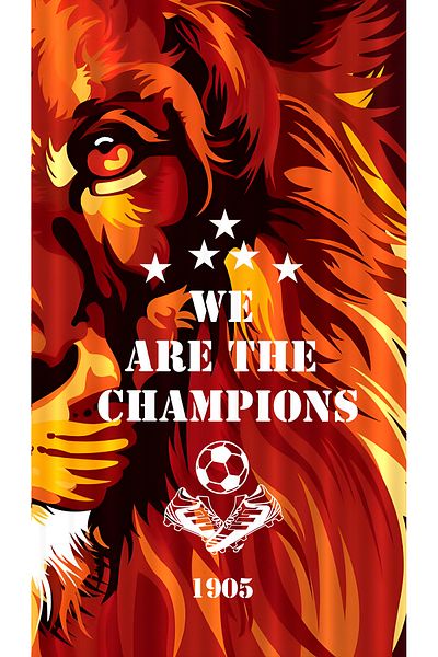 Bertille Home Children's and Baby's Room Fan Football Series Background Curtain Single Wing (Child Room Curtain)