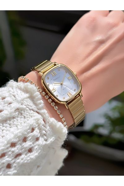 Ferrucci Steel Cord Roman Numbers Women's Wristwatch 3 Atm Waterproof with 2 Years Warranty