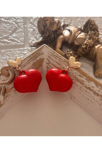 Aka Brand Model Heart Earrings