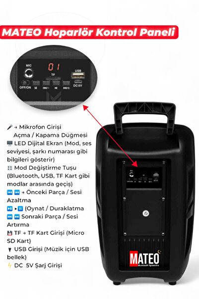 MATEO 8 inç RGB Işıklı Bluetooth Hoparlör Mikrofonlu 10W 1500mAh Karaoke FM USB TF Kart Girişli