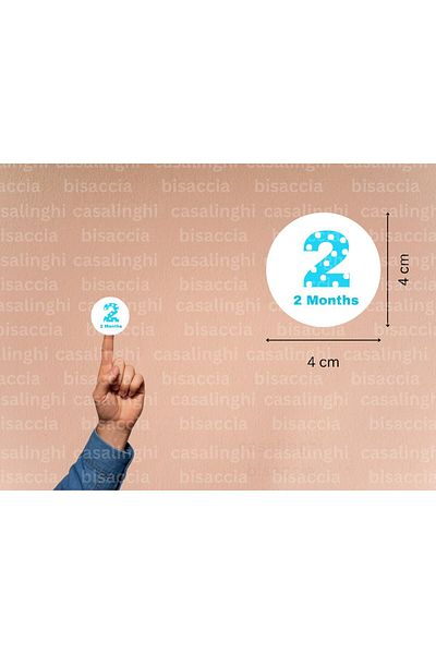 CASALINGHI English 2 Month Sticker Blue 2 Months Decal Dotted Two Month Baby Sticker 4 cm (45 Pieces)