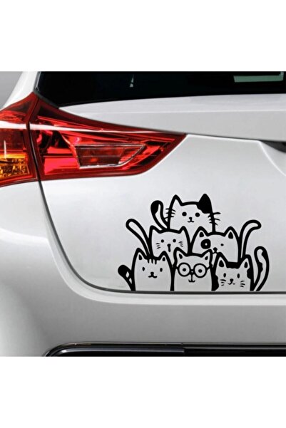 hediyenebak Çılgın Kediler 21x32 cm Sticker Araba, Motorsiklet, Laptop, Cam, ...