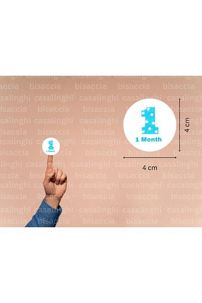 CASALINGHI English 12 Month Baby Sticker 1-12 Months Blue Newborn Round Sticker 4 cm (84 Pieces)