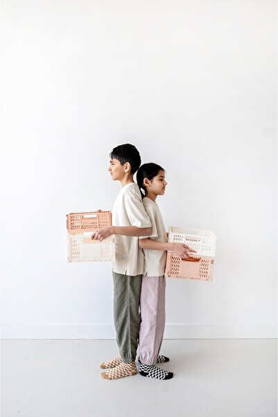 3 Sprouts Modern Foldable Crate - Large - Clay