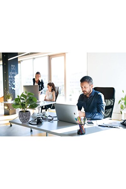 Generic Real-Looking Artificial Fern with Cement Pot for Home and Office - AlphaAcc