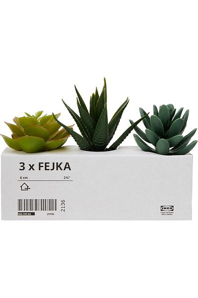 Generic ايكيا 203.953.31 نباتات مكتبية صغيرة من FEJKA، نباتات عصارية صناعية، في أوعية 6 سم (عبوة من 3 قطع)