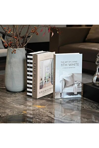 THE WHITE SHOP 3 PCS Decorative Faux Books for Home Decor