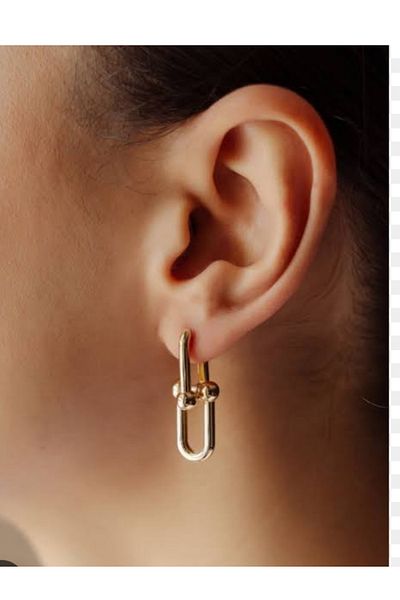 ESDE Tiffany Steel Does Not Blacken Earrings