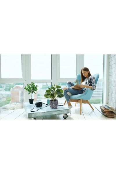 Generic Real-Looking Artificial Fern with Cement Pot for Home and Office - AlphaAcc