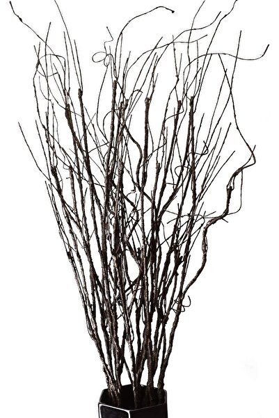 Generic FeiLix 10PCS Curly Willow Branches, 30.7in Decorative Artificial Twigs, Brown