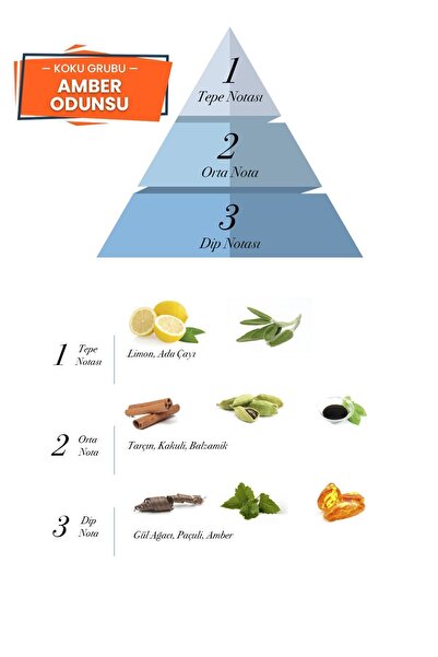 prova Men X Edp Odunsu Erkek Parfüm 100 ml