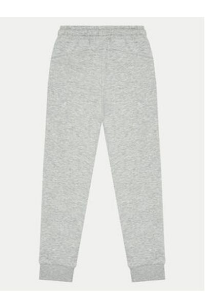 4F Pantaloni de trening pentru fete 4FJWMM00TTROF0828 Gri