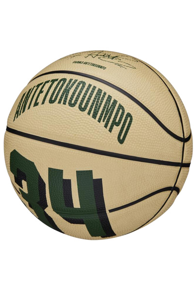 Wilson NBA Player Icon Giannis Antetokounmpo Mini Ball, Unisex Basketball ball
