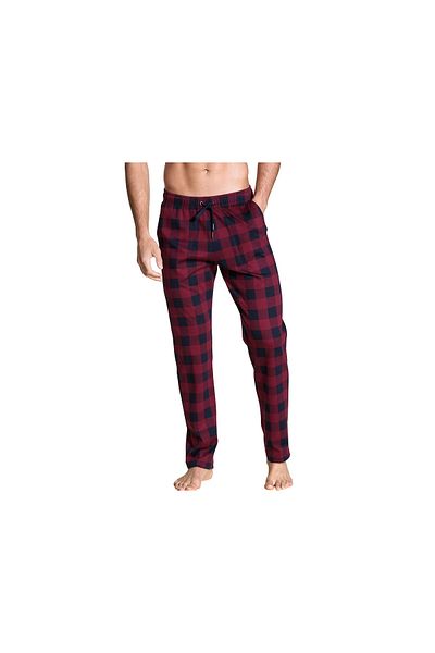 Calida Herren Family & Friends Hose