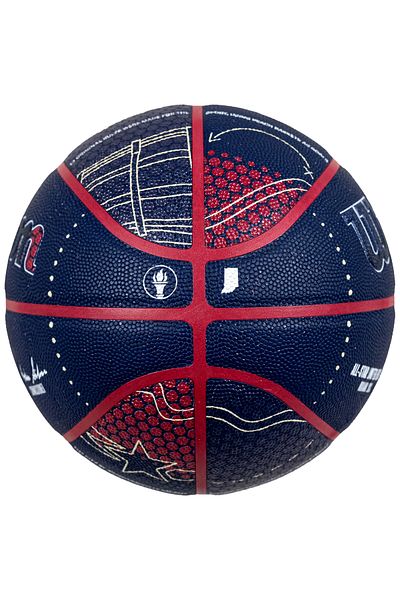 Wilson NBA All-Star 2024 Indianapolis Collector Ball, Unisex Basketball ball