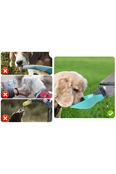 NEXTLY Sticla De Apa Portabila Pentru Caini Si Pisici , 800ml, Sistem De Blocare Al Apei