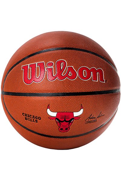 Wilson Team Alliance Chicago Bulls Ball, Unisex Basketball ball