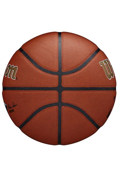 Wilson Team Alliance New Orleans Pelicans Ball, Unisex Basketball ball