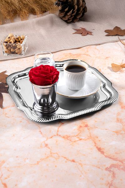 Aslı Hediyelik 1 Piece Luxury Edge Line Patterned Silver Daisy Model Stainless Steel Serving, Tea, Coffee Presentation Tray