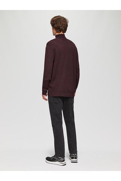 QS by s.Oliver Men's high-neck sweater, Regular fit, QS by s.Oliver