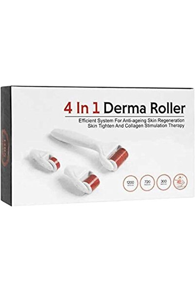 Derma أداة إبر تجميلية 4 في 1 مع إبر دقيقة للوجه