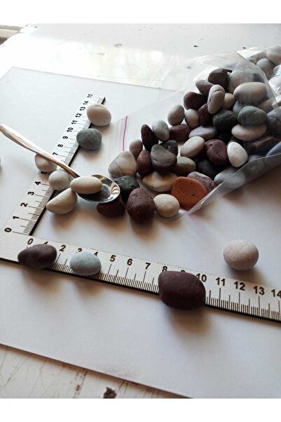 kıyısüsleri Doğal.çiçek Ve Saksı Süsleme Çakıl Taşı 1 kg