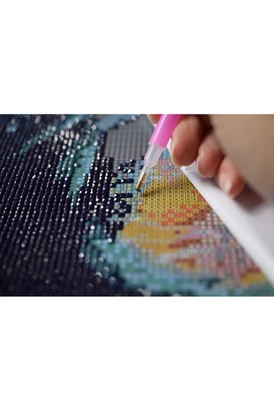 OEM 5d Diamond Embroidery Set, Japan Model, 30x40 Cm, Accessories Included, Multicolor