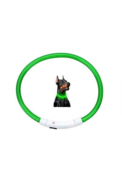 OEM Zgarda cu iluminare LED pentru caini si pisici, marimea L, reglabila pana la 70 cm, verde