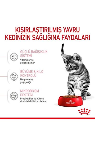 MCE Pet Royal Canin Kitten Sterilized Sterilized Baby Food 2 Kg