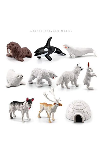 LRS STORE Vahşi Hayvan Seti Kutup Hayvanları Sersi 10 Parça 5-7 cm Mini Hayvan Seti Yüksek Kalite
