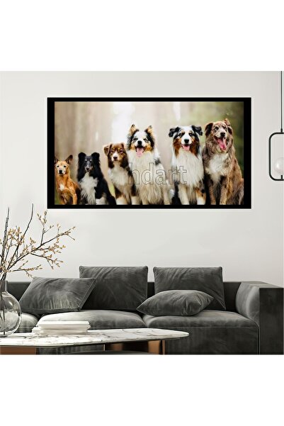 HDART Siyah Sevimli Köpek Köpekler Çerçeve Görünümlü Veteriner Petshop Ev sal...